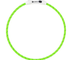 Obroża led dla psa Flamingo Leora zielona