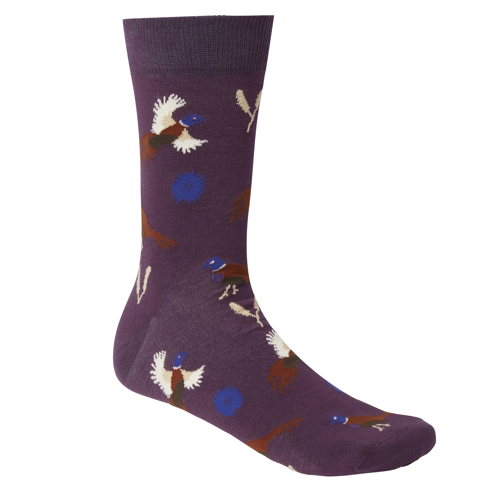 Skarpety Chevalier Pomeroy Hunting Spaniel Eggplant